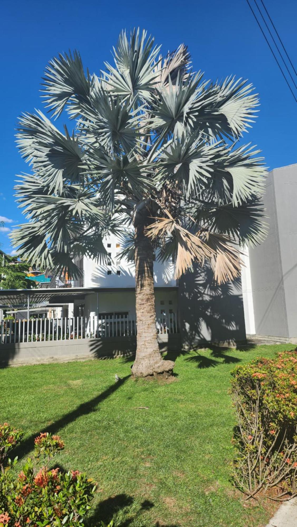 Apartasol Club Ciudadela Santa Fe - Санта-Фе-де-Антіокія Екстер'єр фото